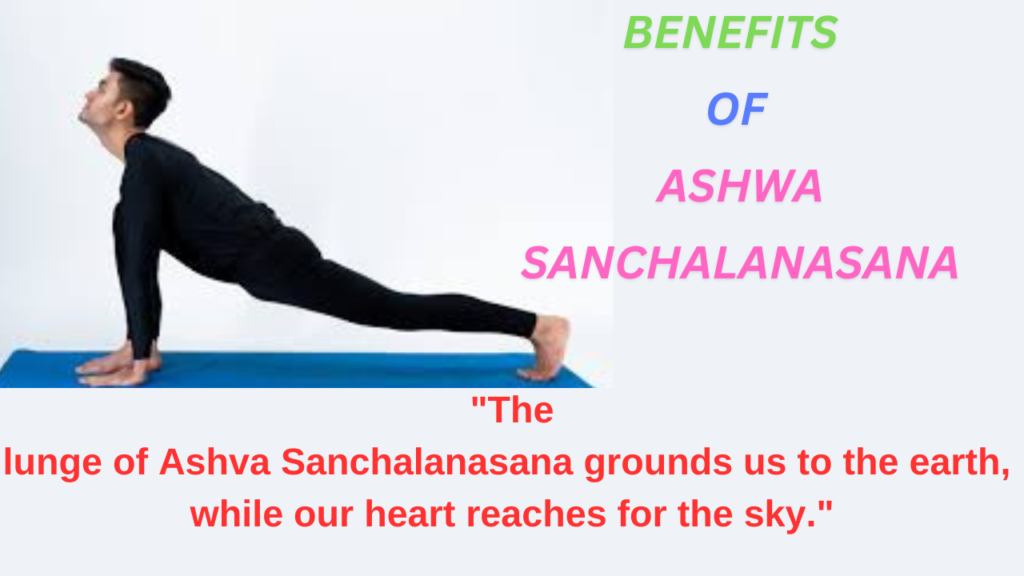 "In Ashva Sanchalanasana, we harness the power of the horse, embodying strength and grace in every breath."