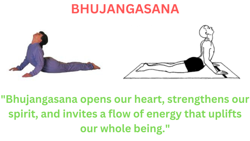 BENEFITS OF BHUJANGASANA